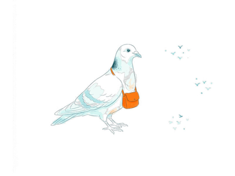 Audience & data illustration