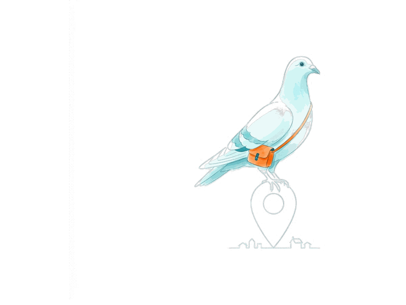 Local & discovery illustration