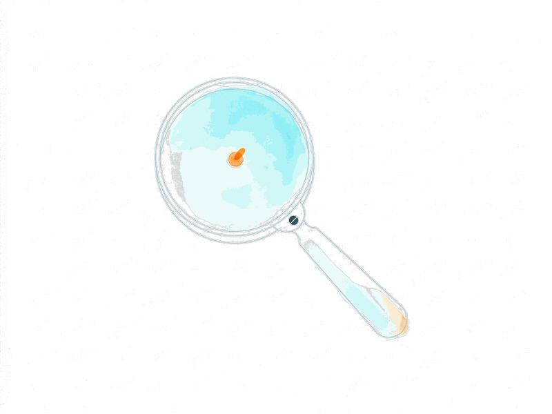 Paid search illustration